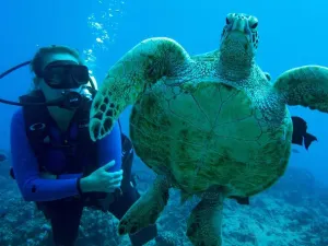 Scuba Diving in Honolulu