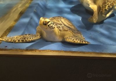 青森県営浅虫水族館