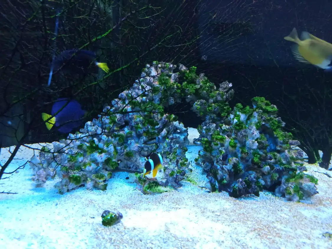 Hotels near Oceanarium
