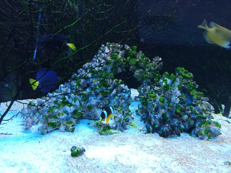 Hotels near Oceanarium
