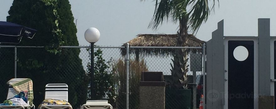 Cedar Island Marina