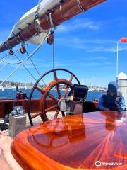 Next Level Sailing: San Diego Whale Watch & Private Charters