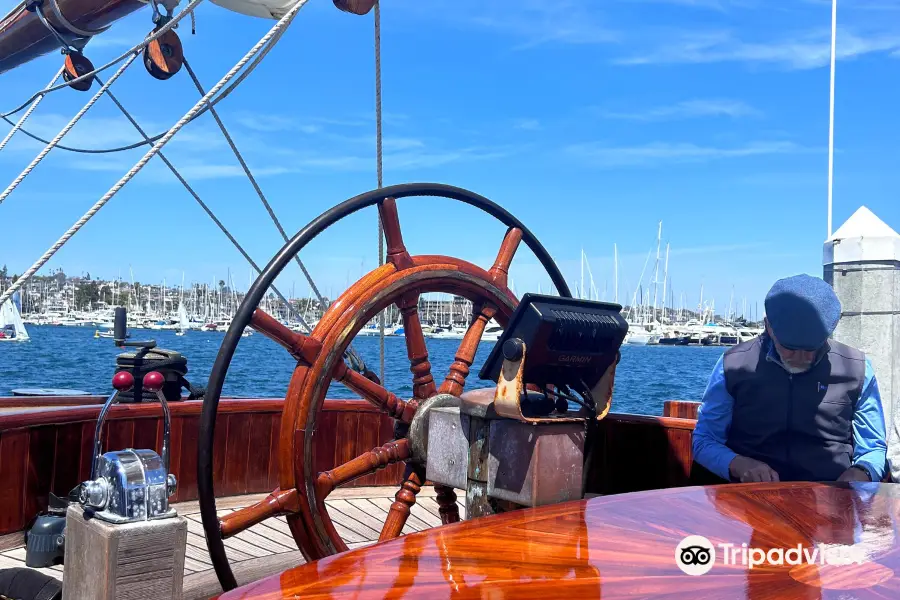 Next Level Sailing: San Diego Whale Watch & Private Charters
