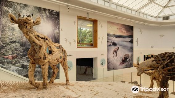 West Coast Fossil Park