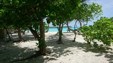 Rasdhoo