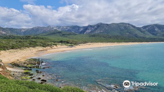 Spiaggia di Scivu