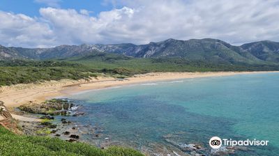 Spiaggia di Scivu