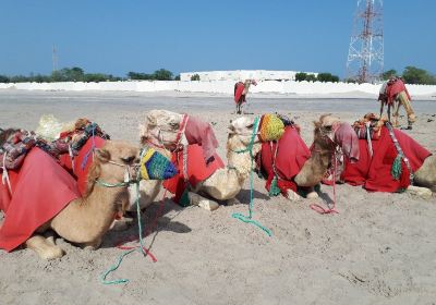 Sealine Beach