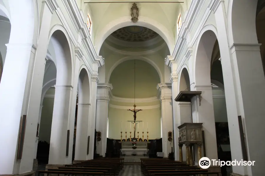 Concattedrale Dei Santi Alberto E Marziale