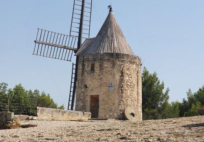 Moulin De Daudet