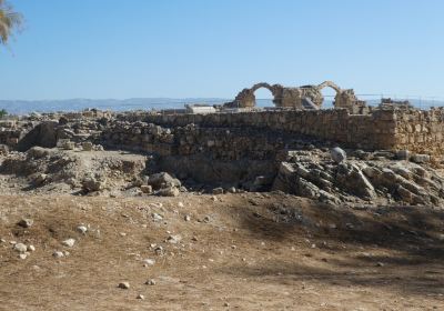 Kato Paphos Archaeological Park