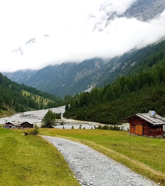 Valfurva
