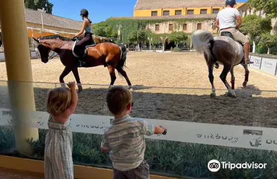 Caballerizas Reales de Cordoba表演門票成人