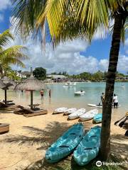 Island Wings Mauritius