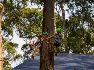 Live Wire Park