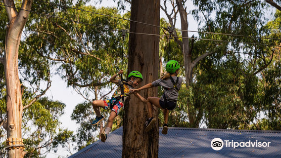 Live Wire Park