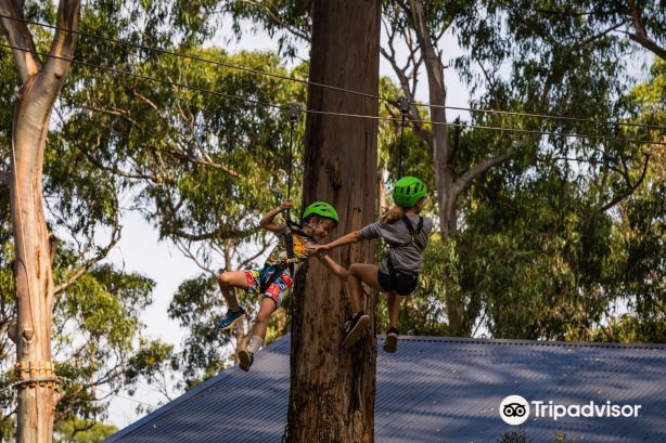 Live Wire Park