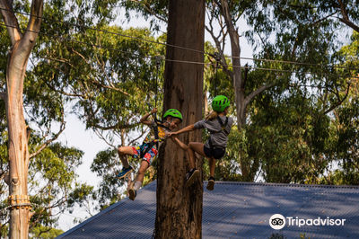Live Wire Park