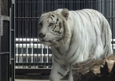 Utsunomiya Zoo