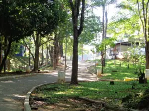 Bosque Zequinha de Abreu