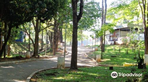 Bosque Zequinha de Abreu