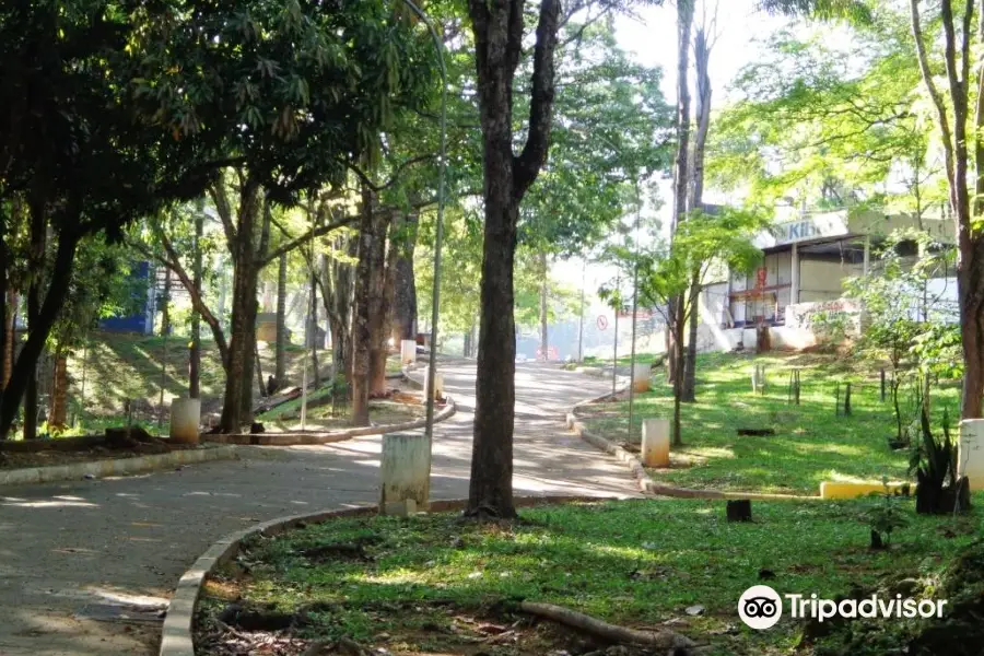 Bosque Zequinha de Abreu