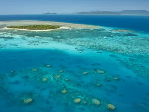 Big Cat Green Island Reef Cruises