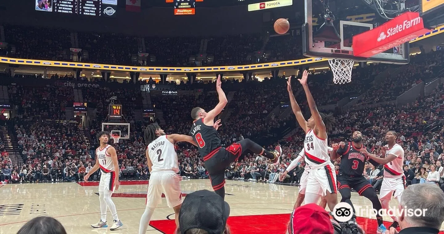 4_Moda Center