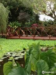 Jardín botánico Andrómeda