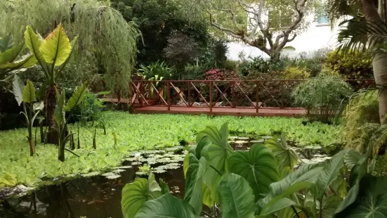 Andromeda Botanic Gardens