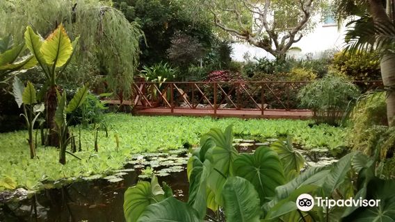 Andromeda Botanic Gardens