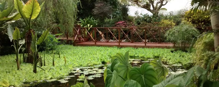 Andromeda Botanic Gardens