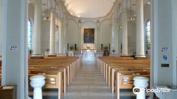 Basilica of Saint Joseph Proto-Cathedral