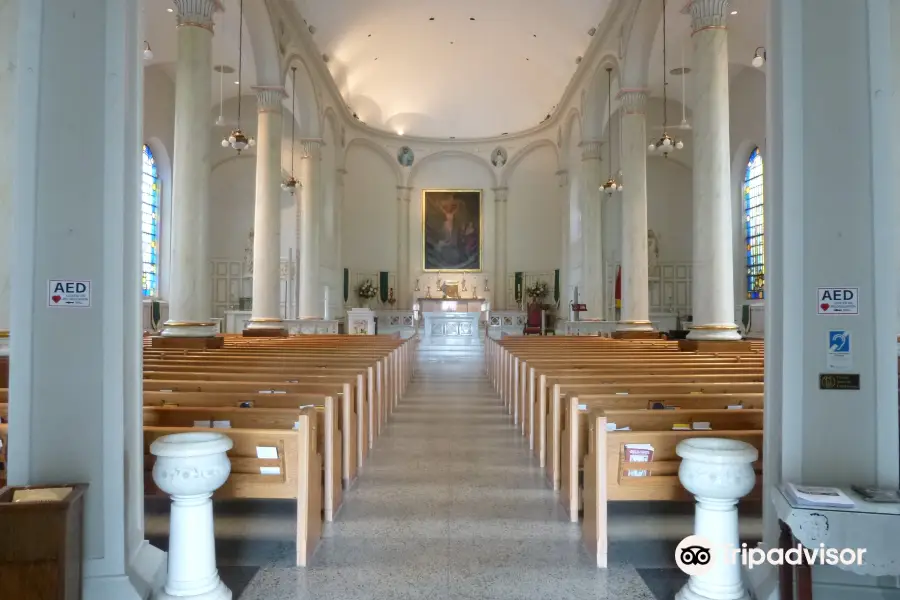 Basilica of Saint Joseph Proto-Cathedral