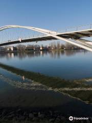 Puente de los Tres Países