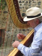 Luc Vanlaere Harpist