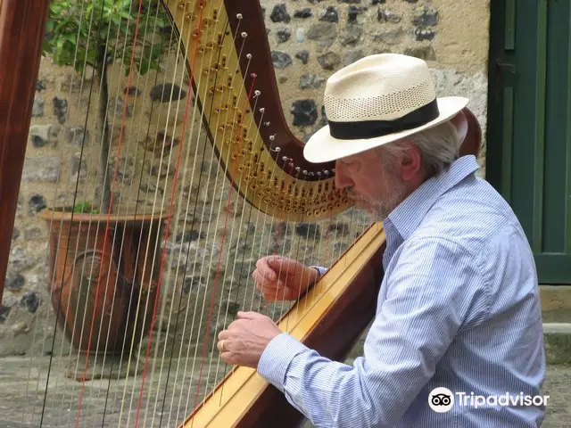 Luc Vanlaere Harpist