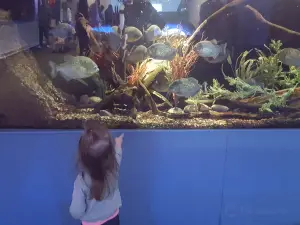 Atlantic City Aquarium