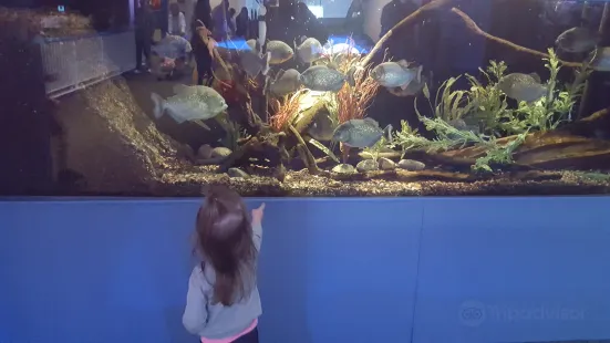 Atlantic City Aquarium Historic Gardner's Basin