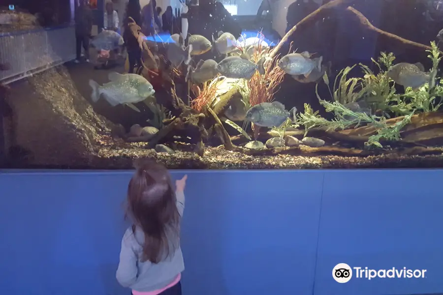 Atlantic City Aquarium