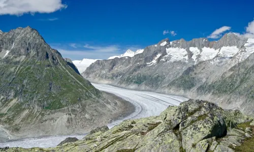 Aletsch Arena