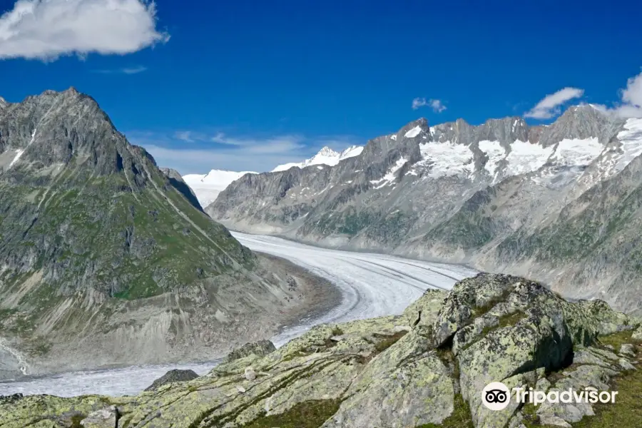 Aletsch Arena