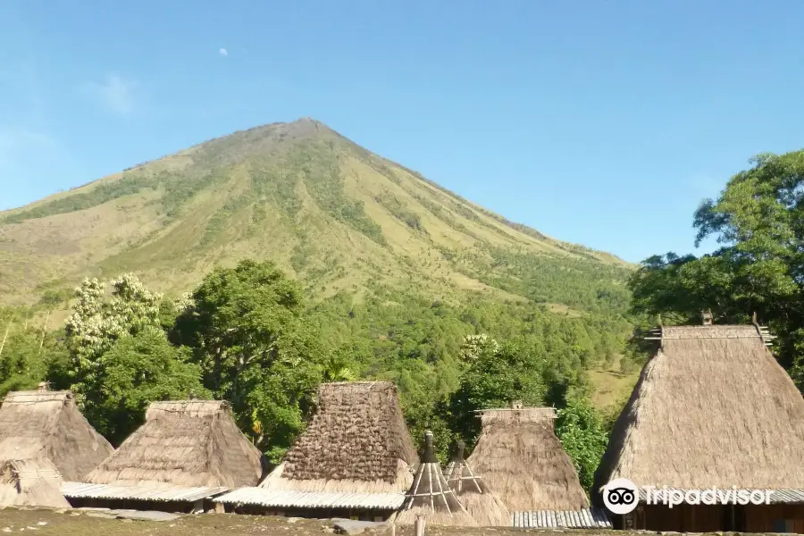 Bena Traditional Village