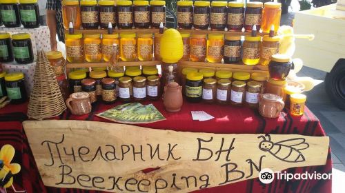 Beekeeping BN