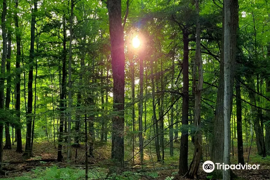 White Cliff Nature Preserve