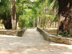 Parque Gustavo Knoop