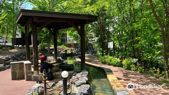 Hot Springs in Sapporo
