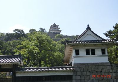 Kameyama Park (Marugame Castle)