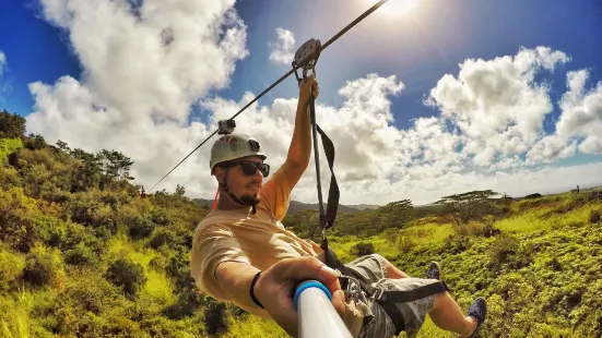 Tanzania Zipline Adventure