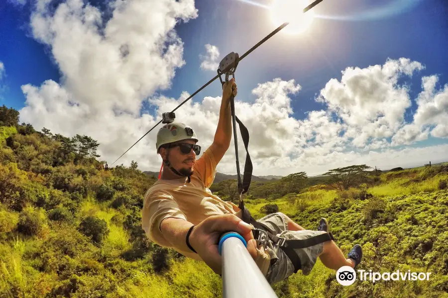 Tanzania Zipline Adventure